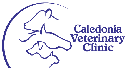 Caledonia Veterinary Clinic